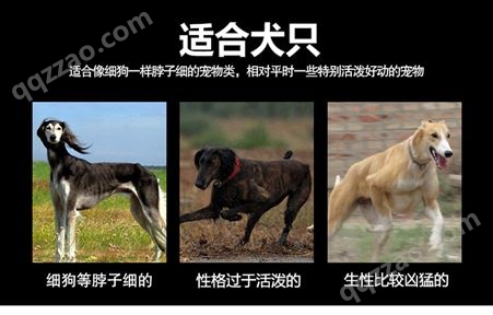 中型大型犬狗狗牵引绳带金毛拉布拉多牛皮项圈遛狗绳狗链子用品