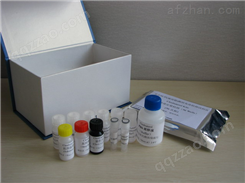 人血管紧张素转化酶（ACE）检测试剂盒